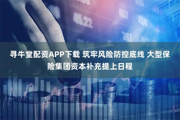 寻牛堂配资APP下载 筑牢风险防控底线 大型保险集团资本补充提上日程