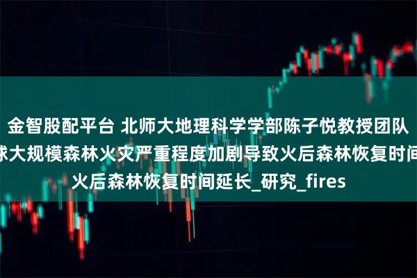 金智股配平台 北师大地理科学学部陈子悦教授团队及合作者揭示全球大规模森林火灾严重程度加剧导致火后森林恢复时间延长_研究_fires