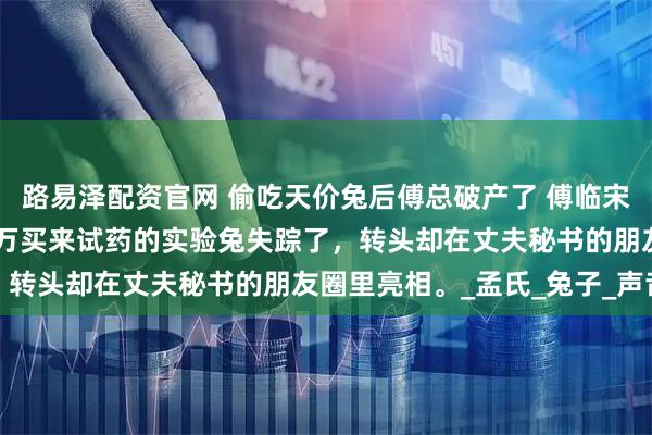 路易泽配资官网 偷吃天价兔后傅总破产了 傅临宋清姿孟晚晴 我斥资五百万买来试药的实验兔失踪了，转头却在丈夫秘书的朋友圈里亮相。_孟氏_兔子_声音