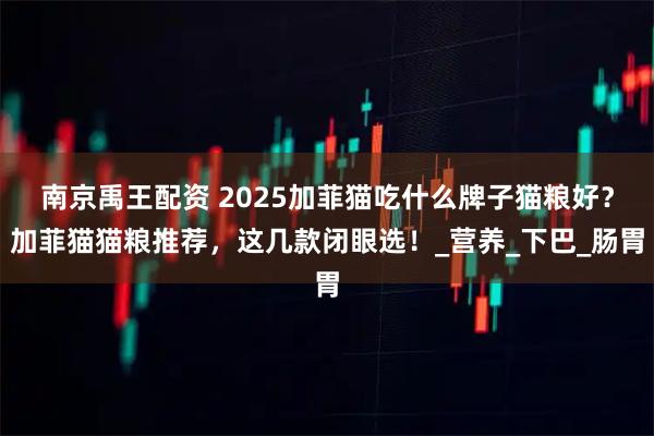 南京禹王配资 2025加菲猫吃什么牌子猫粮好？加菲猫猫粮推荐，这几款闭眼选！_营养_下巴_肠胃