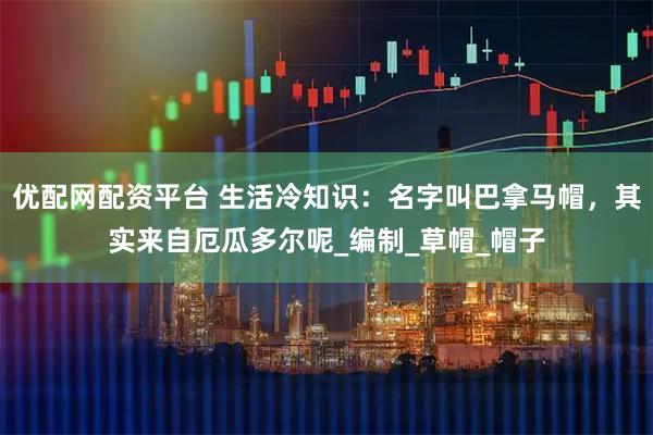 优配网配资平台 生活冷知识：名字叫巴拿马帽，其实来自厄瓜多尔呢_编制_草帽_帽子