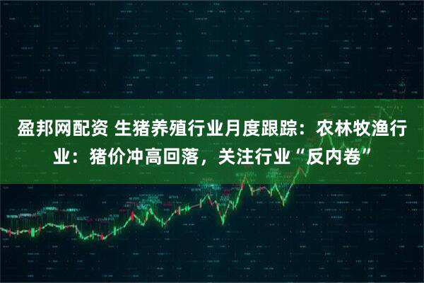 盈邦网配资 生猪养殖行业月度跟踪：农林牧渔行业：猪价冲高回落，关注行业“反内卷”