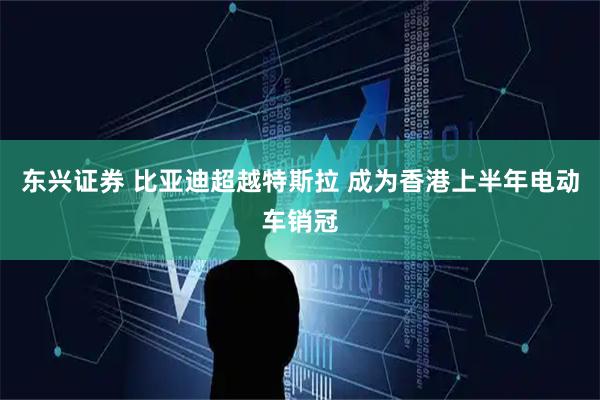 东兴证券 比亚迪超越特斯拉 成为香港上半年电动车销冠