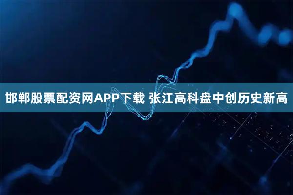 邯郸股票配资网APP下载 张江高科盘中创历史新高