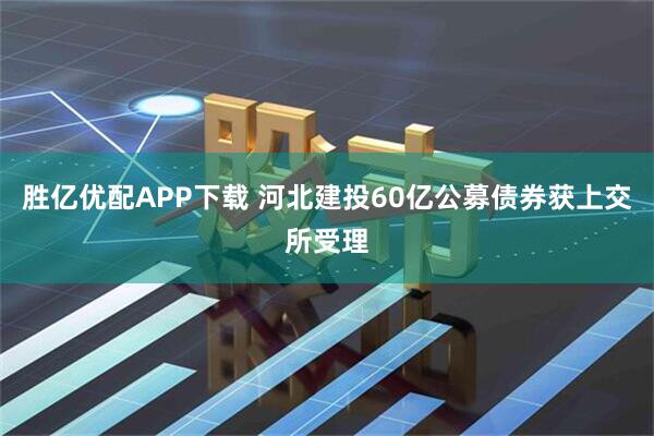 胜亿优配APP下载 河北建投60亿公募债券获上交所受理
