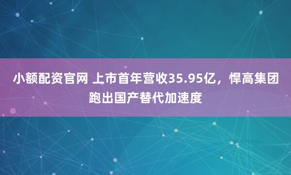 小额配资官网 上市首年营收35.95亿，悍高集团跑出国产替代加速度